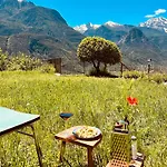 La Vrille - Metcho Vila