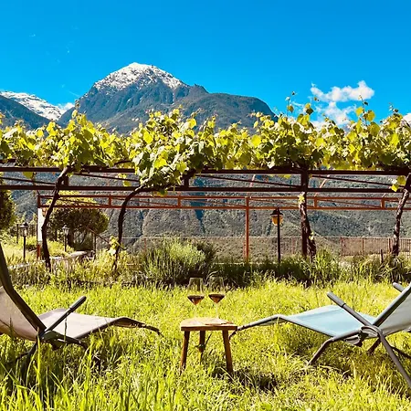Villa La Vrille - Metcho Verrayes