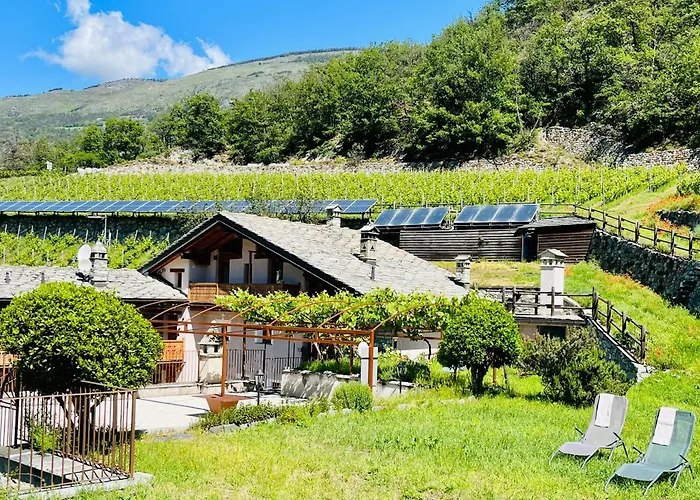 La Vrille - Metcho * Verrayes