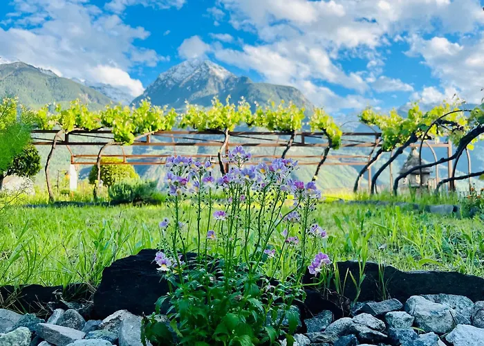 וילה La Vrille - Metcho *